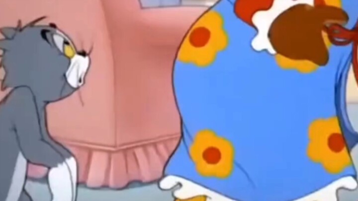 "What evil intentions could a little kitten possibly have?"