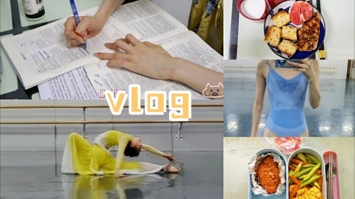 "Dance Student Vlog" Daily School Life/Dancing Practice/Frying Chicken Breast/Diet/Excessive Sweatin
