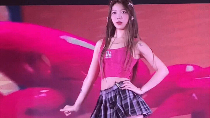 The Spicy Quartet of the Wilderness