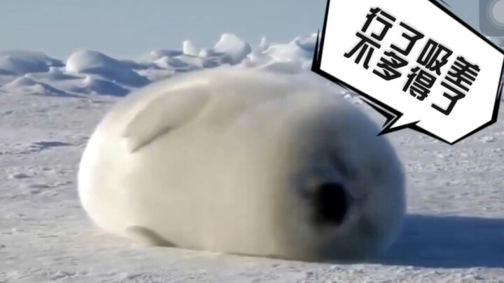 ซีลนี้แนะนำให้ดูด ดูด ดูด ดูด ดูดซ้ำๆ