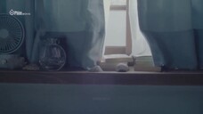 Khởi Đầu Của Biển Cả EP 6 [Sub Việt]