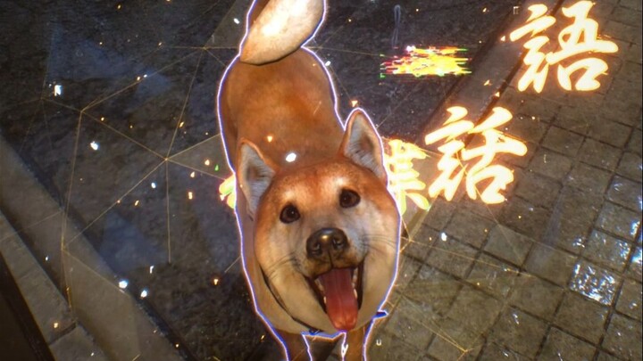 هناك دائمًا حيوات تأتي لتشفيك.