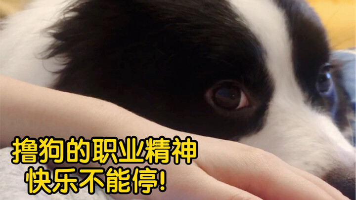 Baru pegang anjing setengah jalan terus lepas? Si Mentimun Kecil langsung aktif mode menggoyang-goya