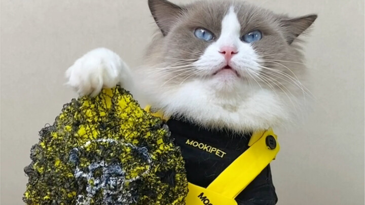 Keluarga semua, bener deh, mainin pipa plastik itu emang bikin melepas penat banget!