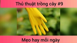 Mẹo thủ thuật trồng cây p9