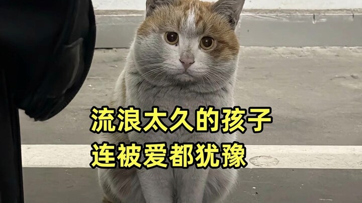 มันรู้สึกว่าตัวเองสกปรกเกินไป เลยไม่กล้าเข้าใกล้คุณ