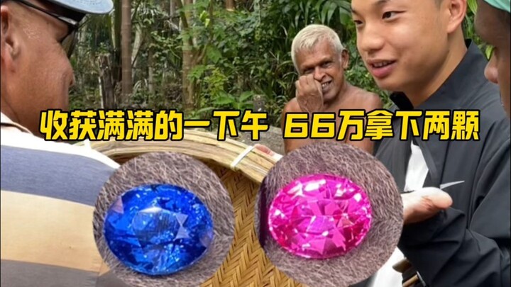 حصدت مجوهرتين رائعتين إلى حد يعجز عنه الوصف بمبلغ 660 ألف!