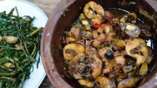 Bắt ốc. Làm giàn rau sạch. Cơm chiều cá lóc kho thịt ba chỉ  - Bin Đen Miền Tây # 125