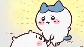 Chiikawa Second Creation | Jalan penuh bunga! Baby Jiyi akhirnya lulus Sertifikat Pengendalian Gulma