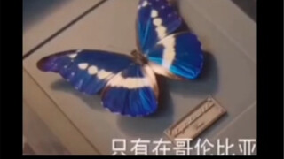 我的人间烟火乐子看不完