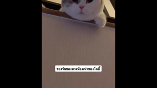 ของรักของหวง