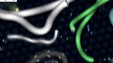 Slither.io 1 Giant Pro Snake vs 97779 Tiny Troll Snakes Epic Slitherio Gameplay