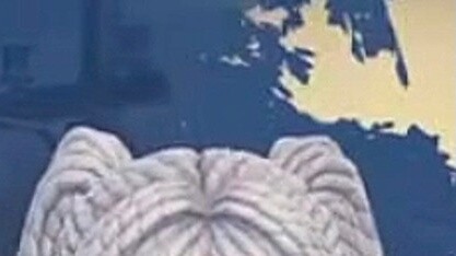 مقارنة بين كين وفريليان من سلسلة "الثلاثية المتماسكة"!