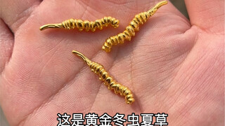 吃了黄金冬虫夏草，能成仙吗？