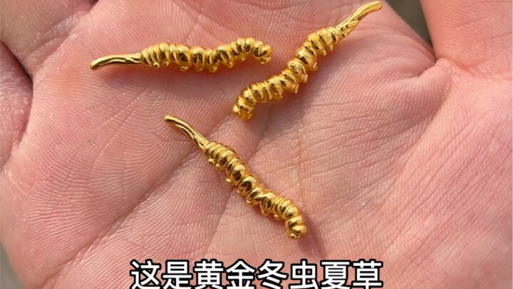 吃了黄金冬虫夏草，能成仙吗？