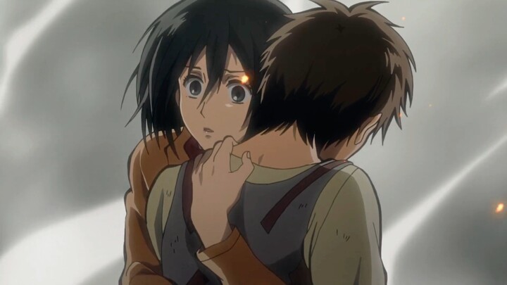 Mikasa didn't understand what giant transformation was. She only knew that at that moment her belove