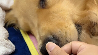 It's really time to say goodbye. Remember the way home—Dad will always be waiting for you.