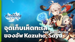 Genshin Impact จุดวิ่งเก็บเห็ดทะเล Sea Ganoderma ของอัป Kazuha และ Sayu