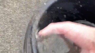 تجربة مثيرة للاهتمام.