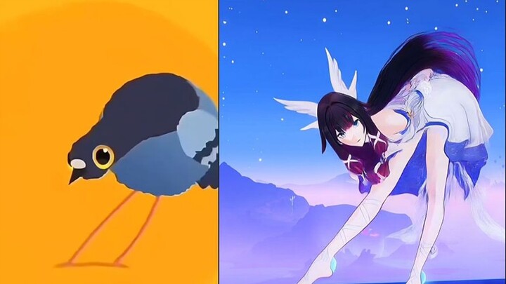 Crazy “Pigeon” Rivalry