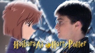 【哈利波特×灰原哀】想扰乱次元和时差，让你我留在错位时空