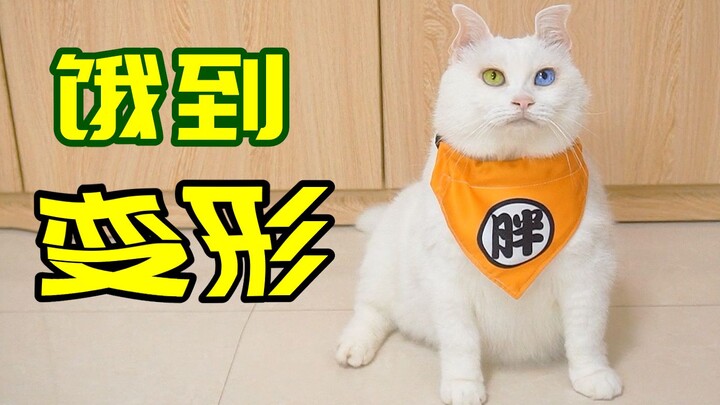When cats are extremely hungry, they'll do something horrifying.