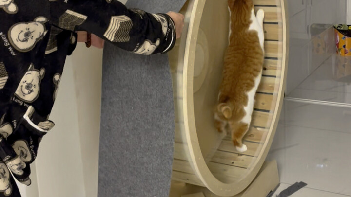 ทำงานนิดหน่อย ถ้ามีพวกมันอยู่ด้วย ฉันคงต้องทำงานมากขึ้นอีกเท่าตัวเลย