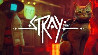 STRAY - MỘT NGÀY LÀM "HOÀNG THƯỢNG" NHƯ THẾ NÀO?