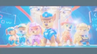 PAW PATROl EDIT