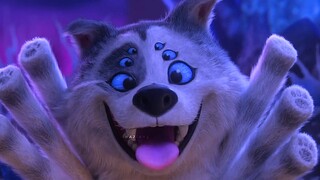 狼和蜘蛛的结合体，又凶又萌还能当坐骑