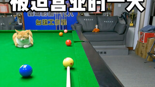 Ngày Tiểu Quýt buộc phải đi làm