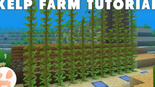 กวดวิชาฟาร์มสาหร่ายทะเล! ขยายได้ ง่าย