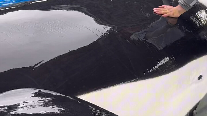 Watch carefully! There are key points in the video!