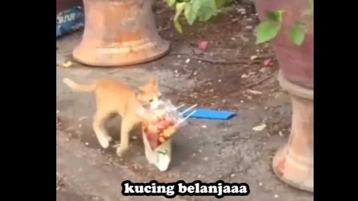 di suruh belanja sama Mak oyen😆