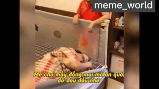 miếng dán thần kỳ