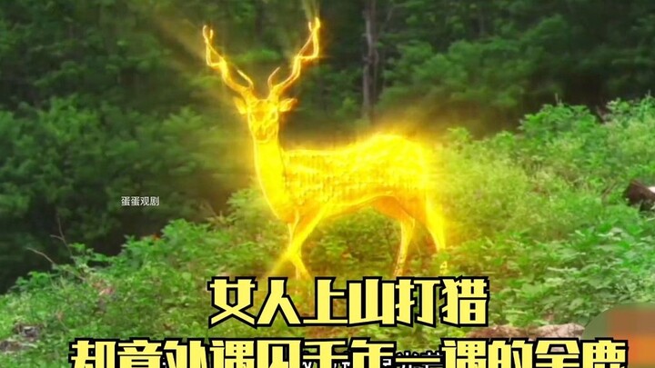 Golden Deer 1: A woman goes hunting in the mountains and unexpectedly encounters a golden deer seen 
