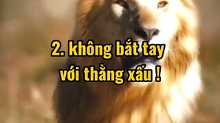 lu về để nhớ