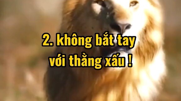 lu về để nhớ