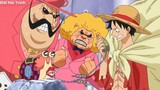 Tất Tần Tật Cuộc Đời Các Thế Hệ Tứ Hoàng Trong One Piece-P4