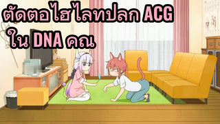 ตัดต่อไฮไลท์ปลุก ACG ใน DNA คุณ