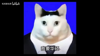 我要微星我要华硕全收集，我事白金奖杯  v1.05