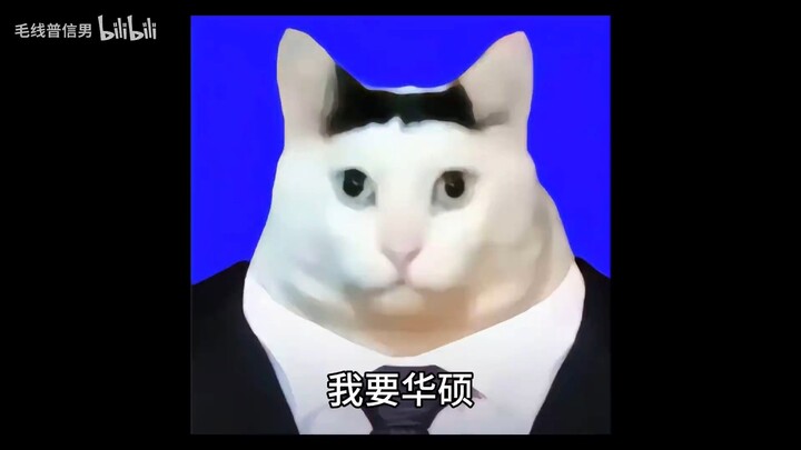 我要微星我要华硕全收集，我事白金奖杯  v1.05
