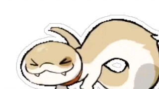 点点也太可爱了吧