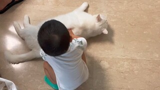 تعليم صغار البشر كيفية تنظيف فضلات الحيوانات الأليفة (هل تعلمت الدرس؟