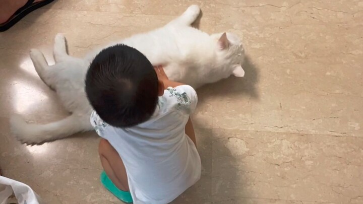 Puppy Training for Humans (Did You Master It?