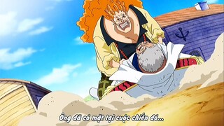 One Piece | Bạn sẽ khóc khi xem video này....