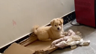 "Barrier-Free Communication"