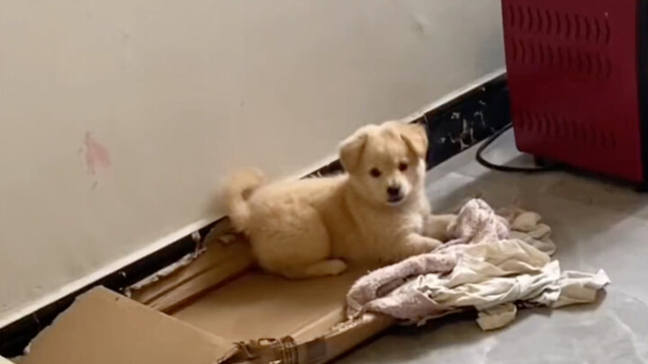 "Komunikasi Tanpa Hambatan"