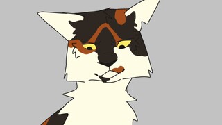 Basically Sol’s entire character