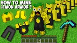 How to MINE LEMON CRAFT AND GET RAREST ARMOR in Minecraft ? SUPER SECRET ARMOR !